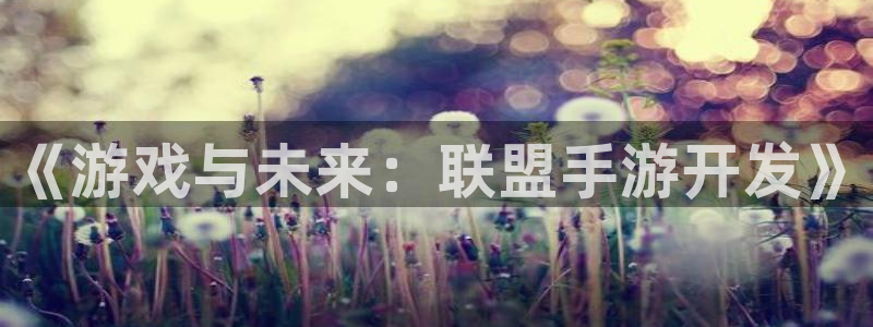 28大神专业版下载地址：《游戏与未来：联盟手游开发》