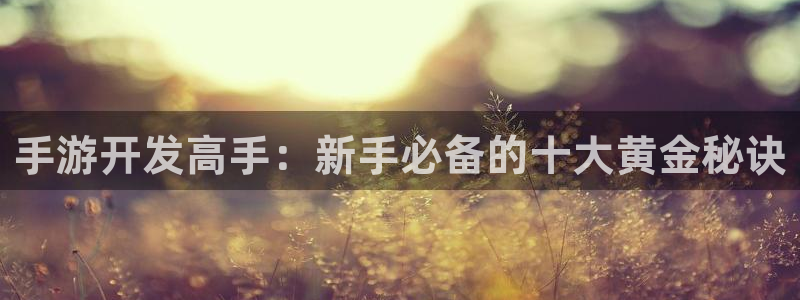 28大神怎么上不去了：手游开发高手：新手必备的十大黄金秘诀