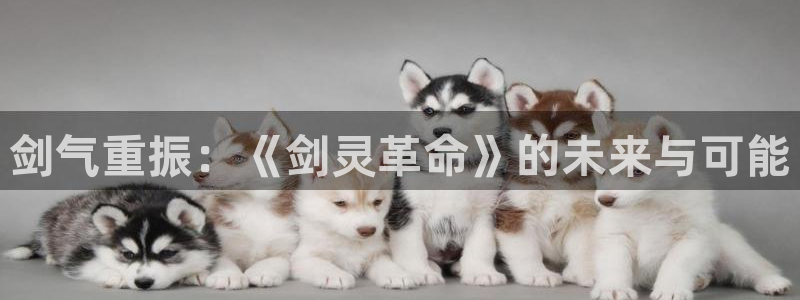 28大神在线：剑气重振：《剑灵革命》的未来与可能