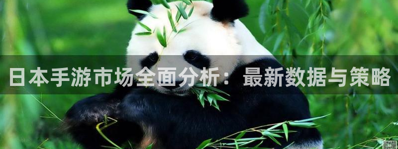 28大神下载：日本手游市场全面分析：最新数据与策略