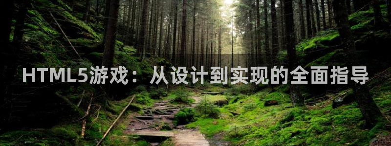 大神吧论坛28算法注册：HTML5游戏：从设计到实现的全面指