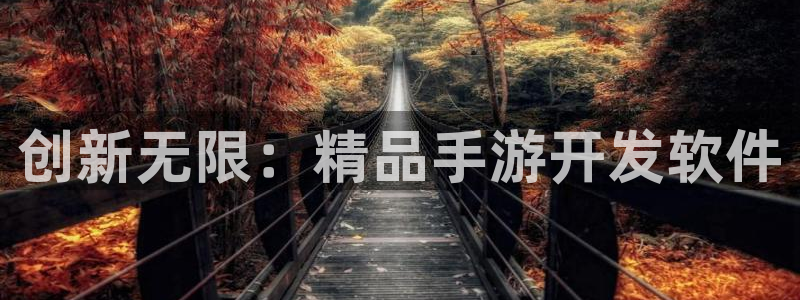蓝图娱乐统计网：创新无限：精品手游开发软件