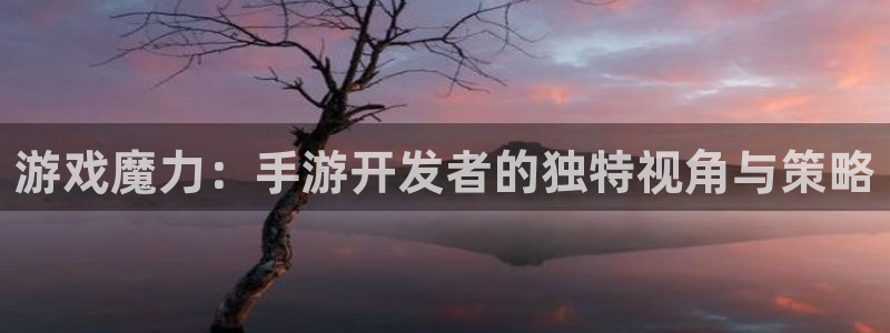 com.pc28.大神：游戏魔力：手游开发者的独特视角与策略