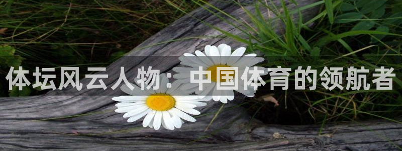 三亿体育网页版