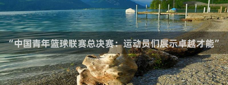 三亿体育网页版