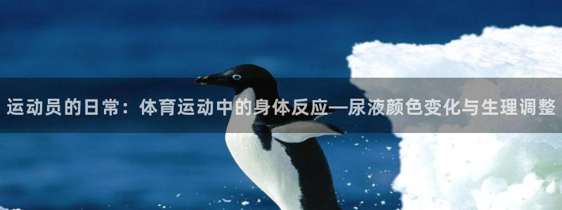 三亿体育网页版