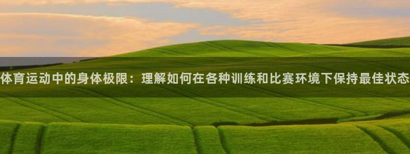 三亿体育网
