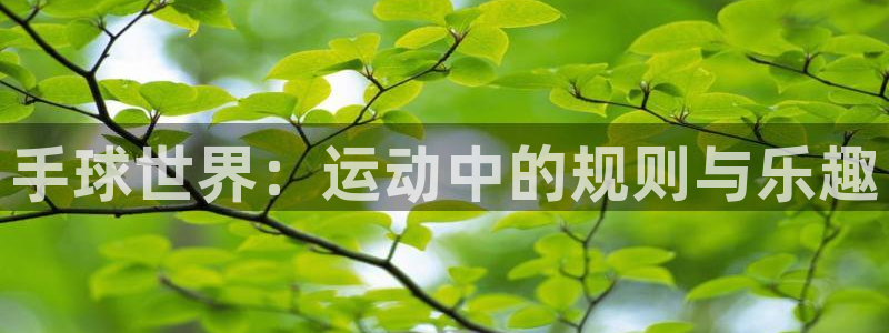 三亿体育网页版