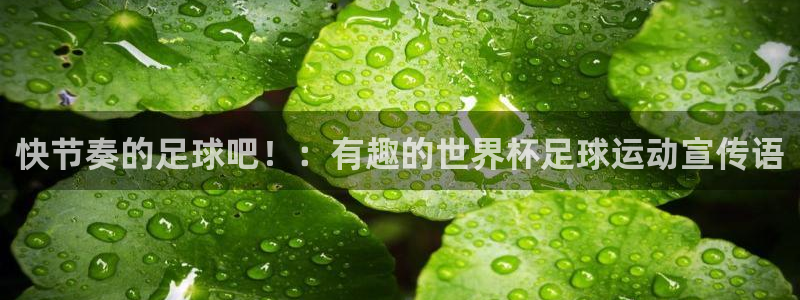 三亿体育登录