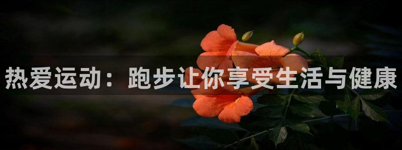 三亿体育