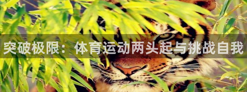 三亿体育登录
