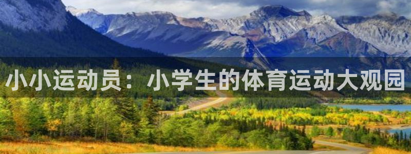 三亿体育网页版