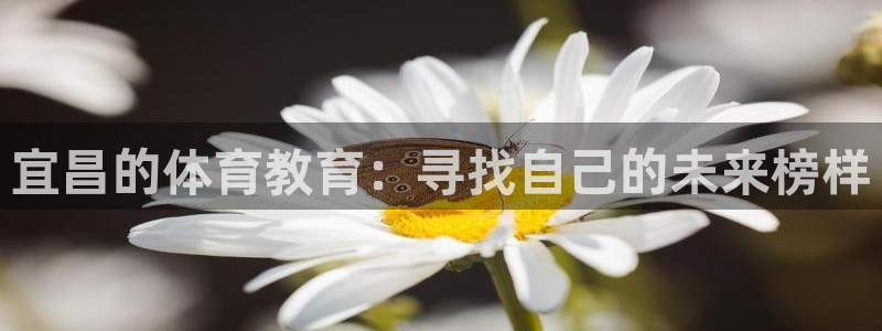三亿体育网