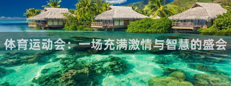 三亿体育