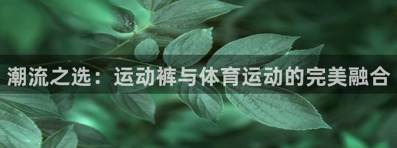 三亿体育网