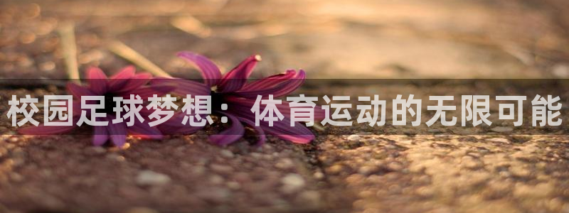 三亿体育登录