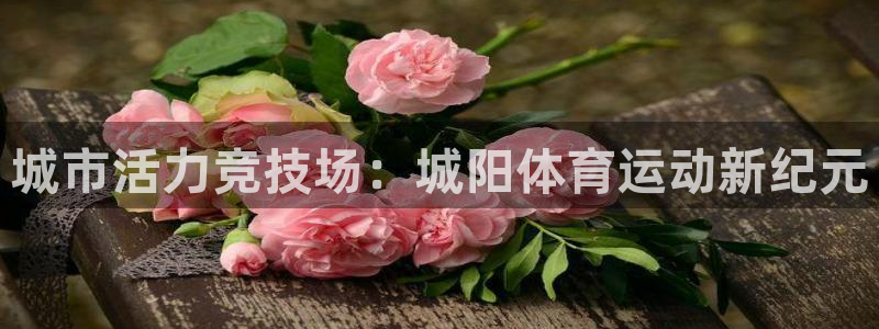 三亿体育网