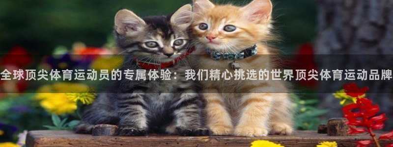 三亿体育网