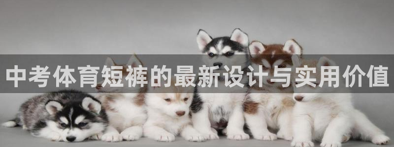 三亿体育网