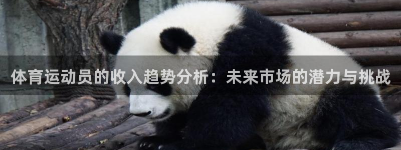 三亿体育网
