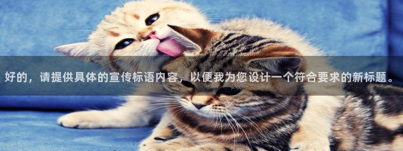 三亿体育登录
